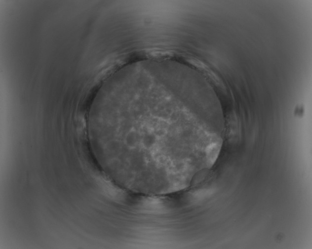 X0000092020523200709271552