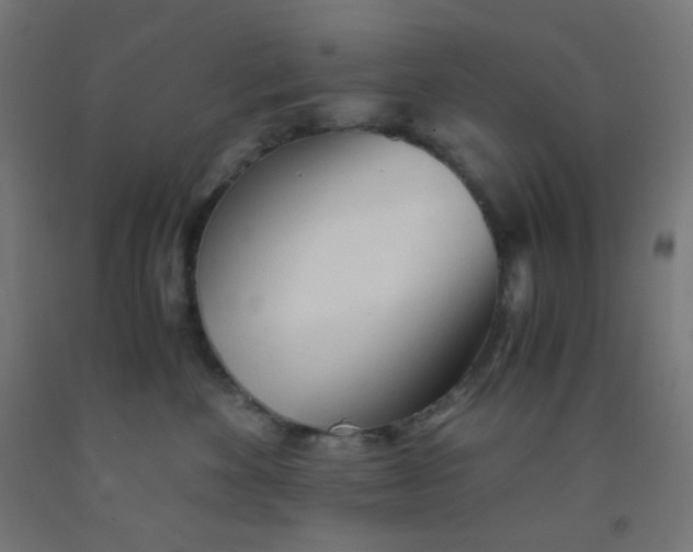 X0000092020524200709271552