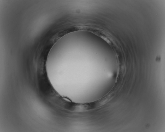 X0000092020525200709271552