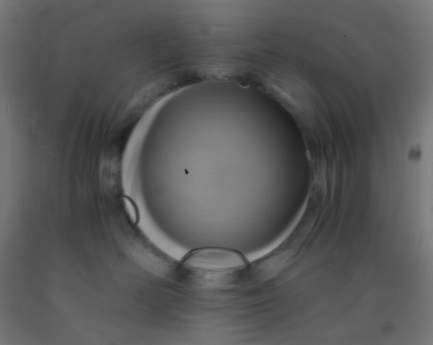 X0000092020526200709271552