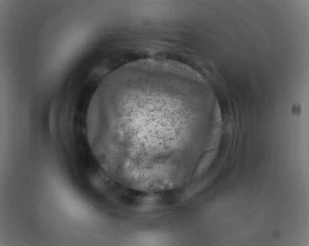 X0000092020527200709271552