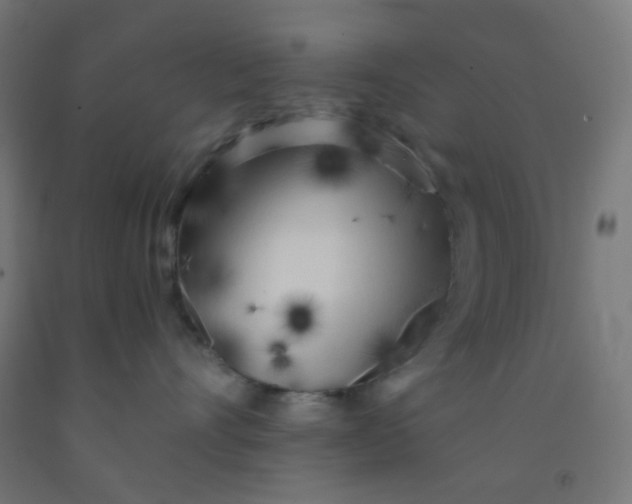 X0000092020528200709271552