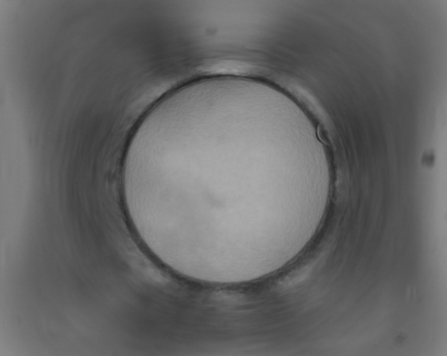 X0000092020529200709271551