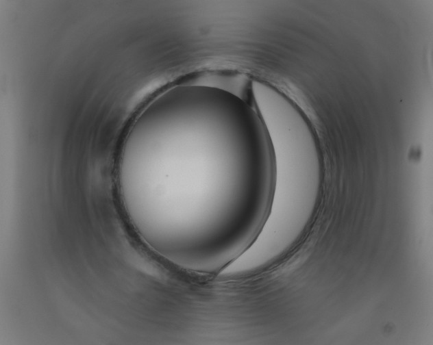 X0000092020530200709271551