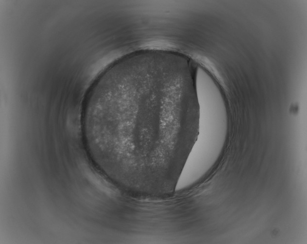 X0000092020531200709271551