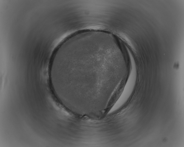 X0000092020532200709271551