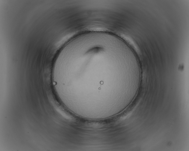 X0000092020533200709271551