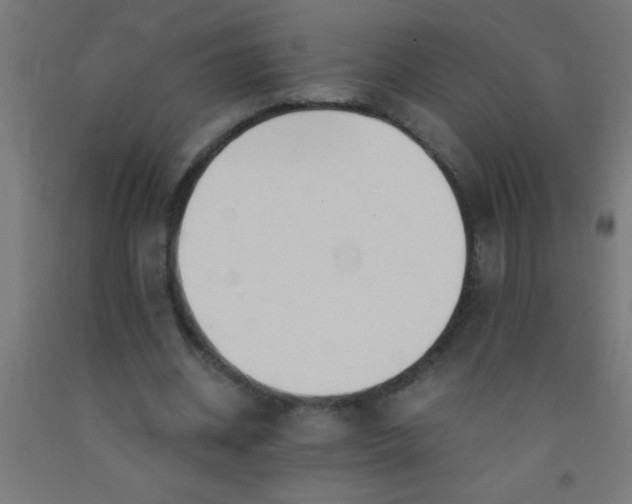 X0000092020534200709271551