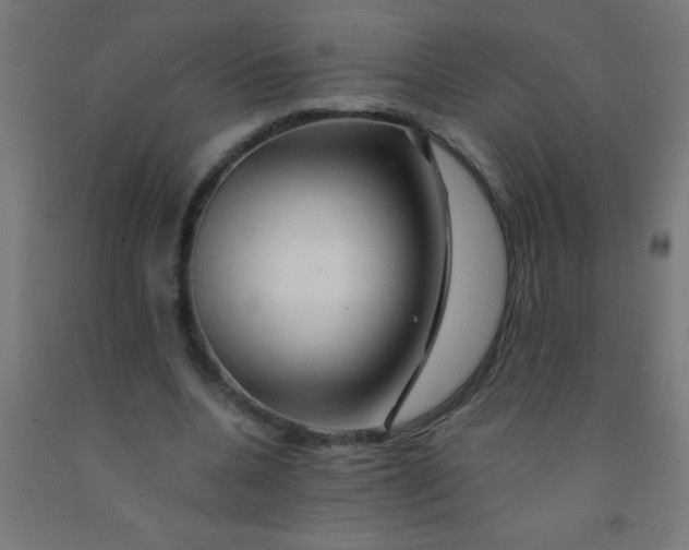 X0000092020536200709271551