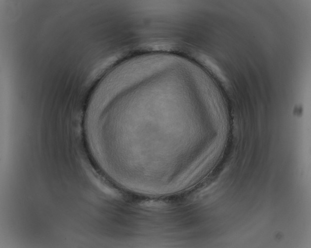 X0000092020537200709271551