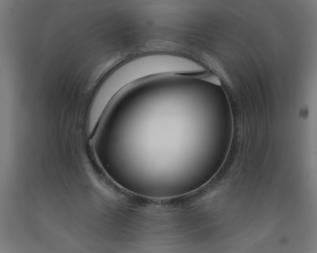 X0000092020538200709271551