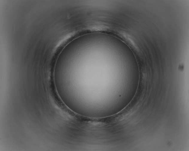 X0000092020539200709271551