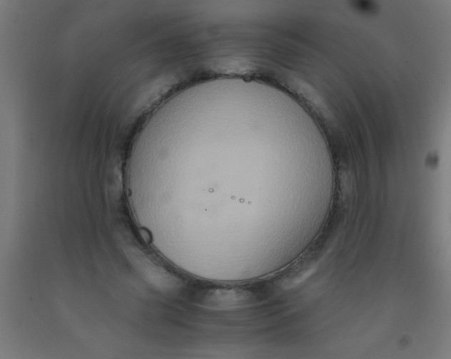 X0000092020541200709271551