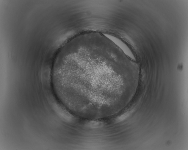 X0000092020542200709271551