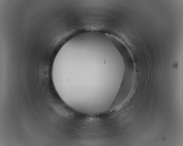 X0000092020543200709271551