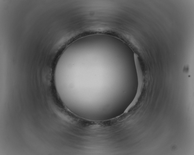 X0000092020544200709271551