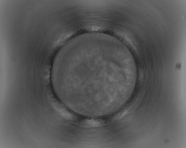 X0000092020545200709271551