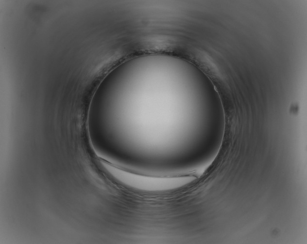 X0000092020546200709271551