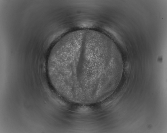 X0000092020547200709271551