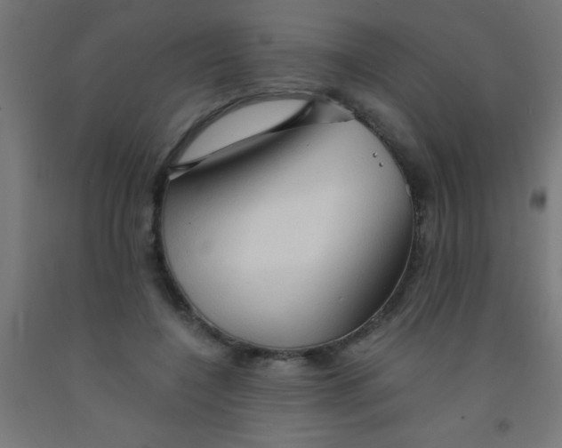 X0000092020548200709271551