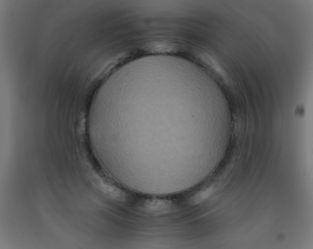 X0000092020549200709271551