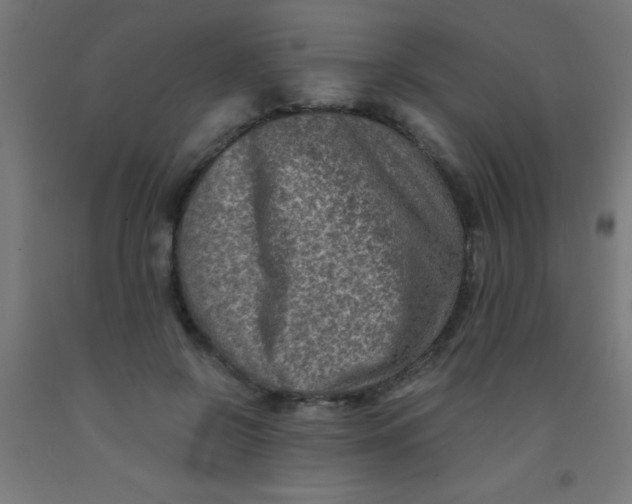 X0000092020550200709271551