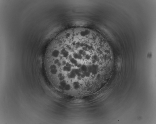 X0000092020551200709271551