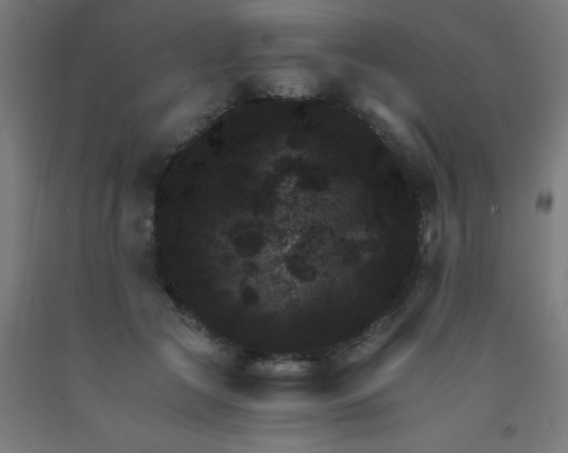 X0000092020553200709271551