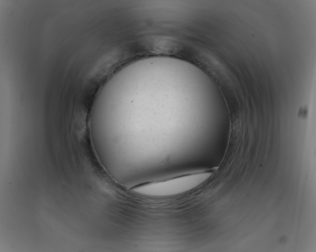 X0000092020554200709271551