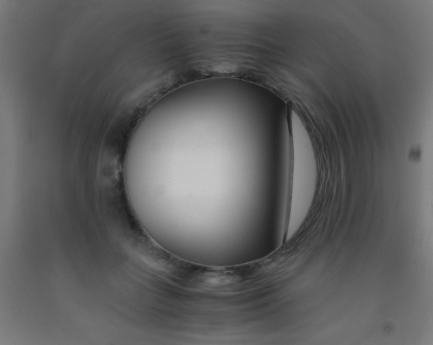 X0000092020555200709271551