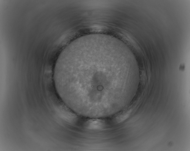 X0000092020557200709271551