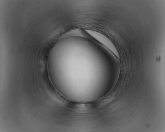 X0000092020558200709271551