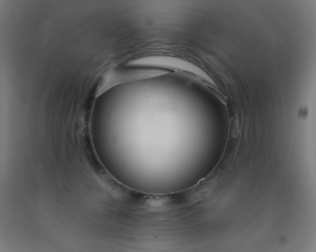 X0000092020560200709271551