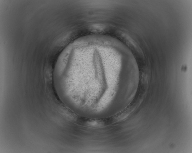 X0000092020561200709271552