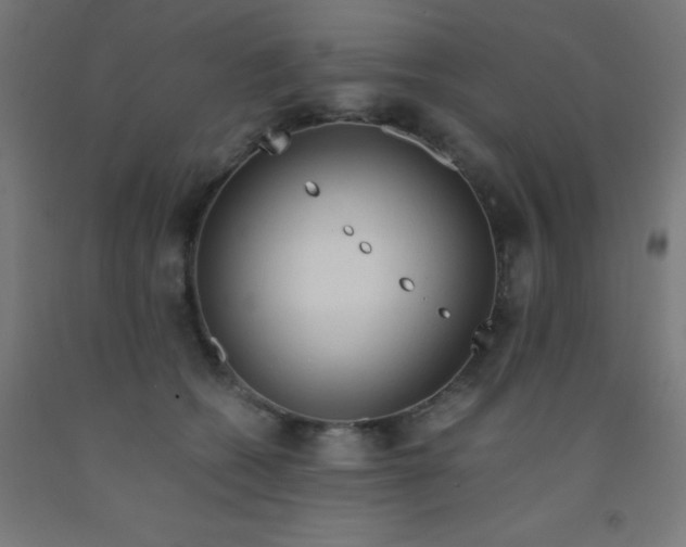 X0000092020562200709271552