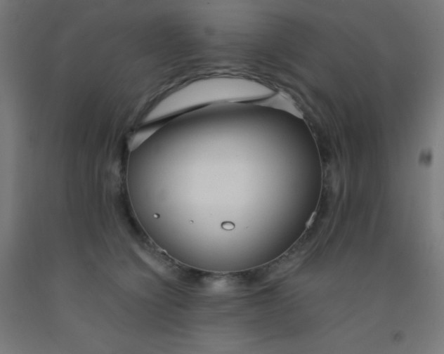 X0000092020564200709271552