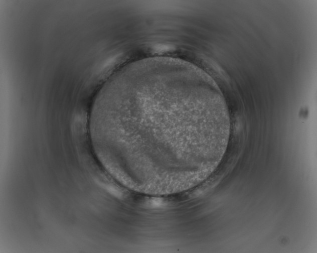 X0000092020565200709271552