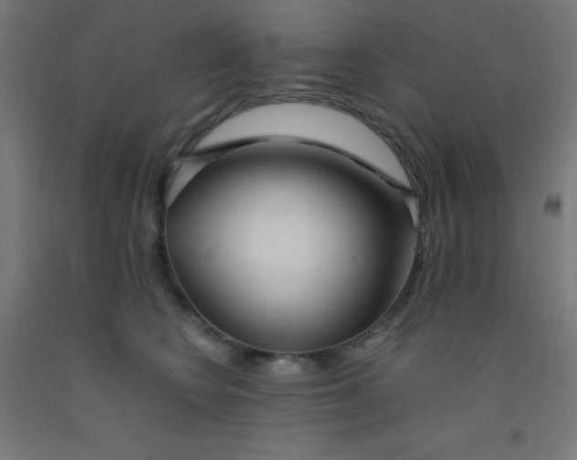 X0000092020566200709271552