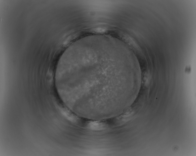 X0000092020568200709271552