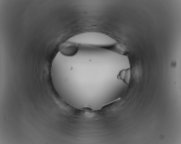 X0000092020570200709271552