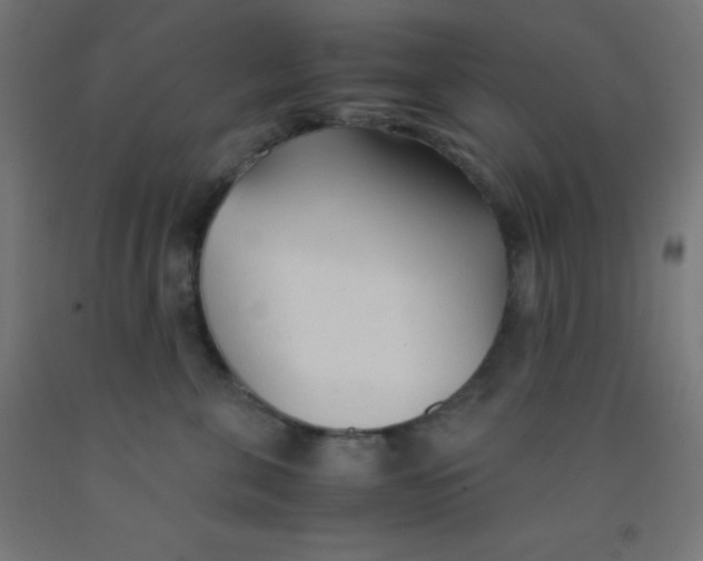 X0000092020571200709271552