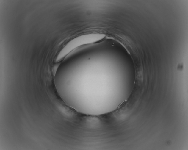 X0000092020572200709271552