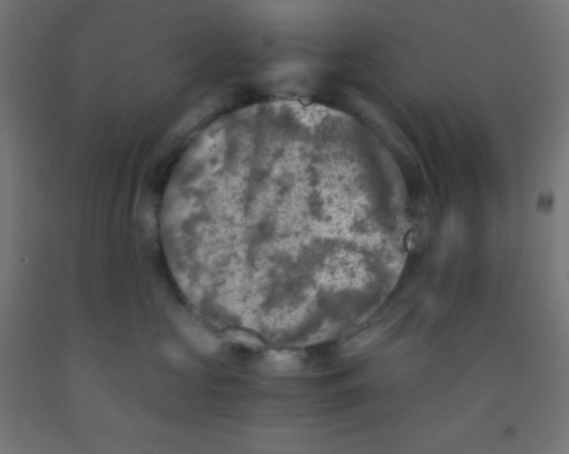 X0000092020573200709271552