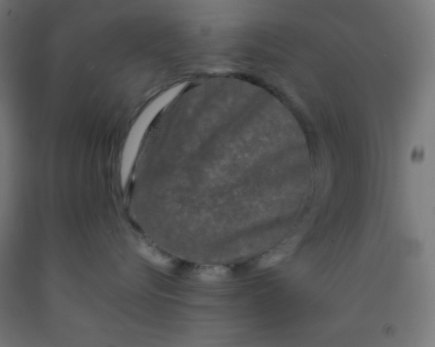 X0000092020576200709271552