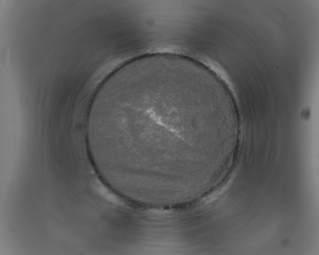 X0000092020577200709271551