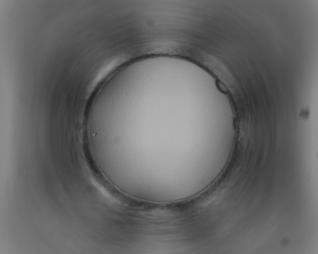 X0000092020578200709271551