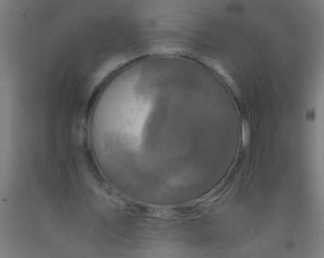 X0000092020579200709271551