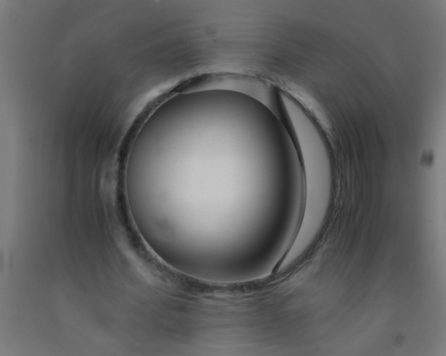 X0000092020580200709271551