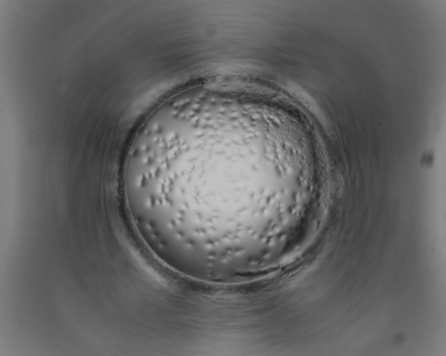 X0000092020581200709271551