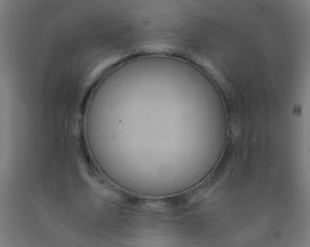 X0000092020583200709271551